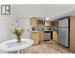 Lower - 44 Glen Echo Road, Toronto, ON M4N3E3 Photo 11