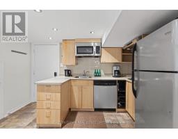Lower - 44 Glen Echo Road, Toronto, ON M4N3E3 Photo 12