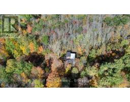 23 Concession 18 Road, North Kawartha, ON K0L1A0 Photo 13