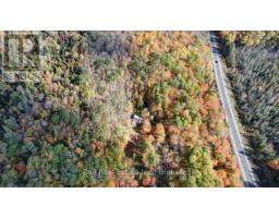 23 Concession 18 Road, North Kawartha, ON K0L1A0 Photo 7