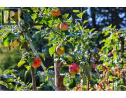 2575 Coho Dr, Gabriola Island, BC V0R1X7 Photo 39