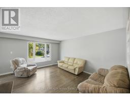 Laundry room - 49 Ferndale Crescent, Brampton, ON L6W1G1 Photo 10