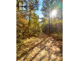 1060b Rantz Road, Petawawa, ON K8H2W8 Photo 17