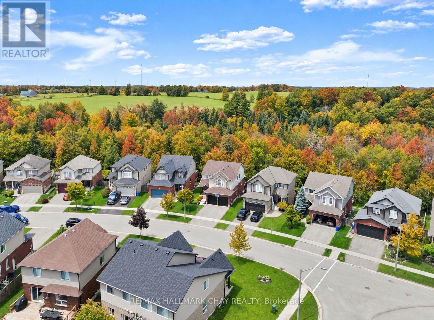 192 Muriel Street, Shelburne, ON photo 39