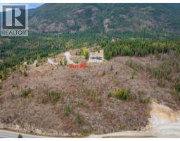 Sl5 Kault Hill Road, Tappen, BC V0E2N2 Photo 11