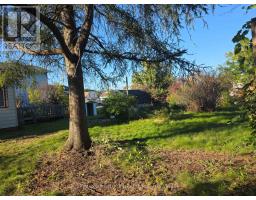 143 Park Avenue, Carleton Place, ON K7C2H2 Photo 31