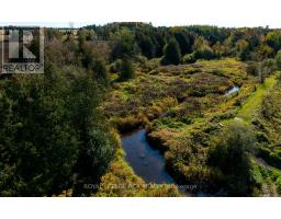 293138 8th Line, Amaranth, ON L9W6T6 Photo 45