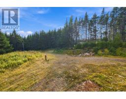 75 Pioneer Place, Deer Park, NL A0A2R0 Photo 23