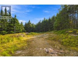 75 Pioneer Place, Deer Park, NL A0A2R0 Photo 24