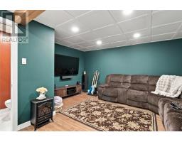 64 Sprucedale Drive thumbnail 18
