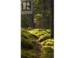 Fiander Road, Bocabec, NB E5B3M3 Photo 16