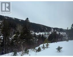 24 Main Road, Cottrell S Cove, NL A0H1L0 Photo 31