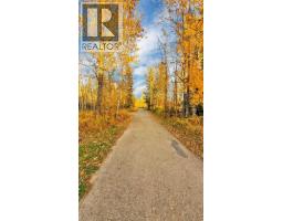 6411 54 Street, Rocky Mountain House, AB T4T1N5 Photo 26