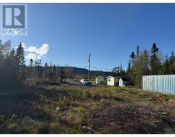 23 Hodgewater Line, South River, NL A0A3W0 Photo 8
