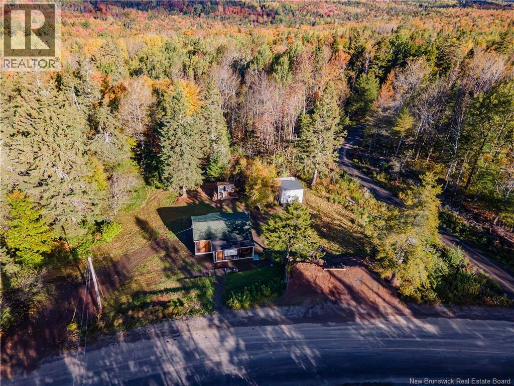 711 Bloomfield Ridge Road - 4