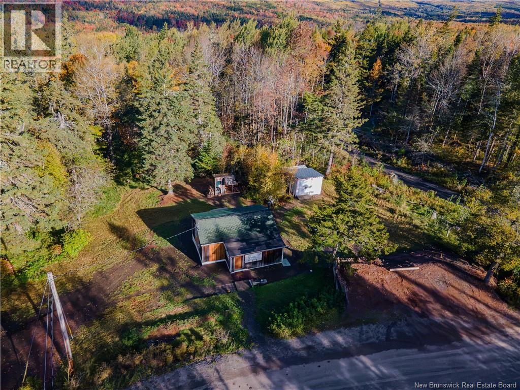711 Bloomfield Ridge Road - 18