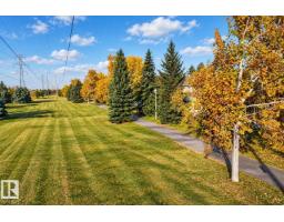 Recreation room - 3022 108 St Nw, Edmonton, AB T6J3S6 Photo 7