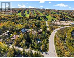 102 Martin Grove, Blue Mountains, ON L9Y0N5 Photo 46
