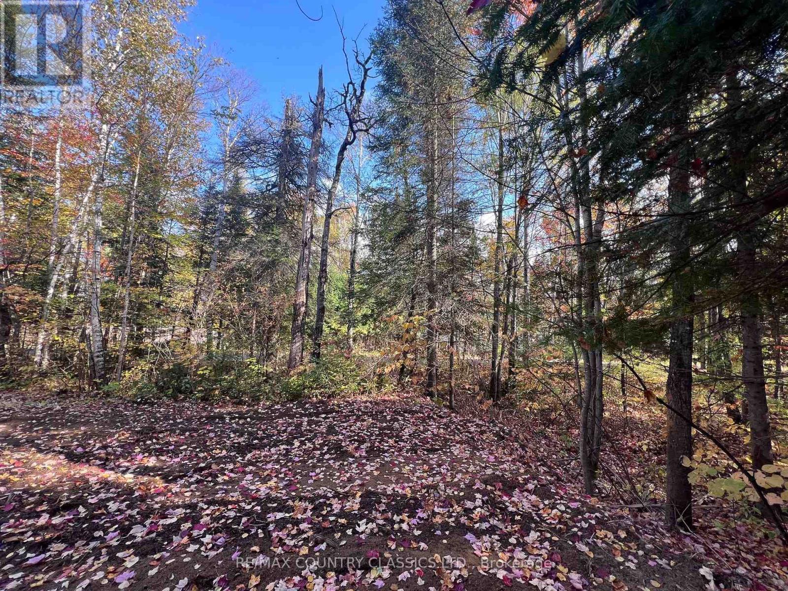 0 High Bush Road, Hastings Highlands, ON photo 1