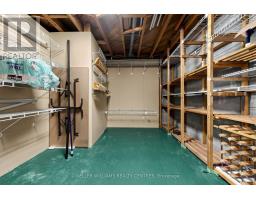 369 Osiris Drive, Richmond Hill, ON L4C2P6 Photo 22