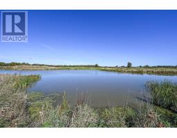 6128 Highway 3, Haldimand, ON N0A1C0 Photo 40