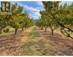 164 Ashnola Road, Keremeos, BC V0X1N1 Photo 10