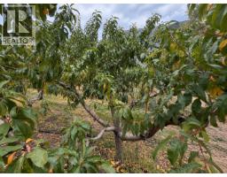 164 Ashnola Road, Keremeos, BC V0X1N1 Photo 12