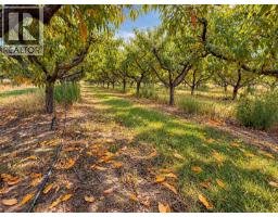 164 Ashnola Road, Keremeos, BC V0X1N1 Photo 7