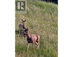 27 Ridge View Place - photo 41