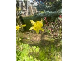 27 Ridge View Place - photo 44