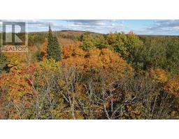 16 Gibson Road, Perry, ON P0A1J0 Photo 11