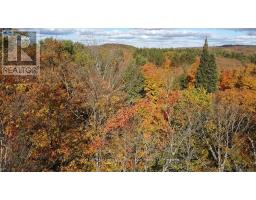 16 Gibson Road, Perry, ON P0A1J0 Photo 12