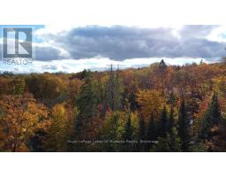 16 Gibson Road, Perry, ON P0A1J0 Photo 13