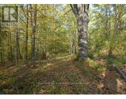 2 - 1112 Sam Cook Road, Gravenhurst, ON P1P1R3 Photo 13