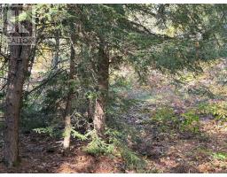 2 - 1112 Sam Cook Road, Gravenhurst, ON P1P1R3 Photo 18