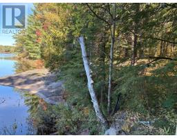2 - 1112 Sam Cook Road, Gravenhurst, ON P1P1R3 Photo 6