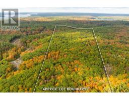 Across From 1210 Rostrevor Road, Muskoka Lakes, ON P0B1P0 Photo 12