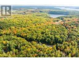Across From 1210 Rostrevor Road, Muskoka Lakes, ON P0B1P0 Photo 7