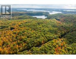 Across From 1210 Rostrevor Road, Muskoka Lakes, ON P0B1P0 Photo 8