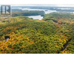 Across From 1210 Rostrevor Road, Muskoka Lakes, ON P0B1P0 Photo 9