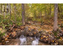 529685 Pretty River Rd. Townline N, Blue Mountains, ON N0H2P0 Photo 41