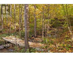 529685 Pretty River Rd. Townline N, Blue Mountains, ON N0H2P0 Photo 42