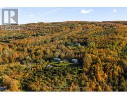 529685 Pretty River Rd. Townline N, Blue Mountains, ON N0H2P0 Photo 45