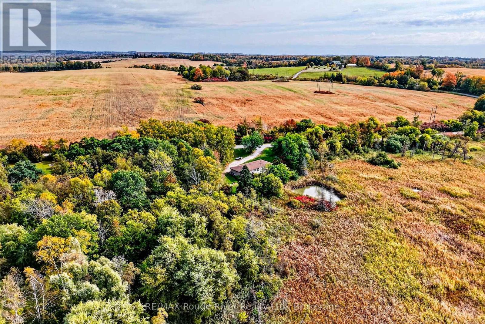 170 Cowie Road, Cramahe, ON photo 45