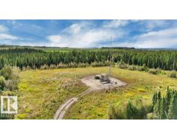 49419 - B Rge Road 85, Rural Brazeau County, AB T7A0C1 Photo 14