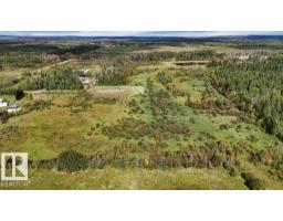 49419 - B Rge Road 85, Rural Brazeau County, AB T7A0C1 Photo 8