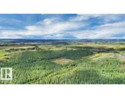 49419 - B Rge Road 85, Rural Brazeau County, AB T7A0C1 Photo 11