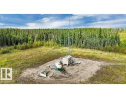 49419 - B Rge Road 85, Rural Brazeau County, AB T7A0C1 Photo 13