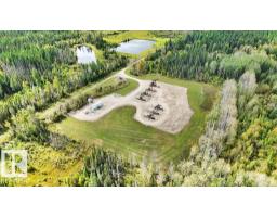 49419 - B Rge Road 85, Rural Brazeau County, AB T7A0C1 Photo 17