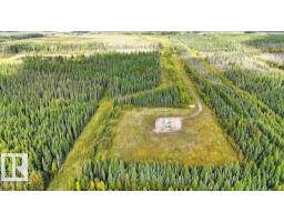 49419 - B Rge Road 85, Rural Brazeau County, AB T7A0C1 Photo 12